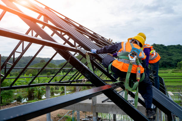 Best Roof Replacement Cost  in Carrollton, VA