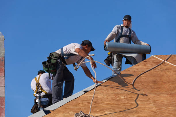 Best New Roof Installation  in Carrollton, VA