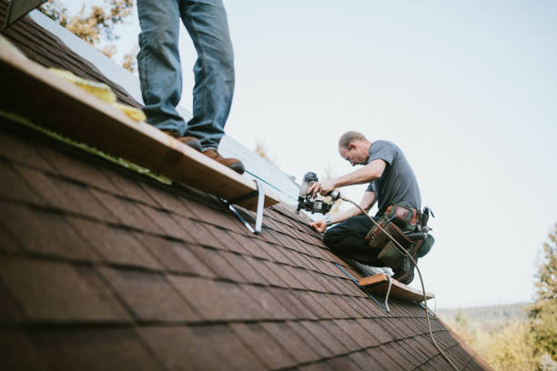 Roof Gutter Cleaning in Carrollton, VA