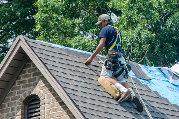 Best Shingle Roofing Installation  in Carrollton, VA